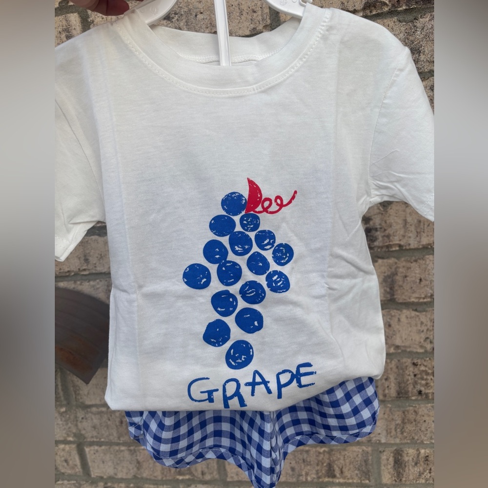 Super cure 4T Toddler Summer 2 pcs outfit t shirt and shorts Grape